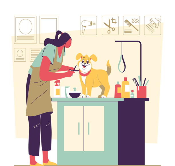 Trang chủ 33 Phòng khám thú y Hà Nội - An Bình Pet