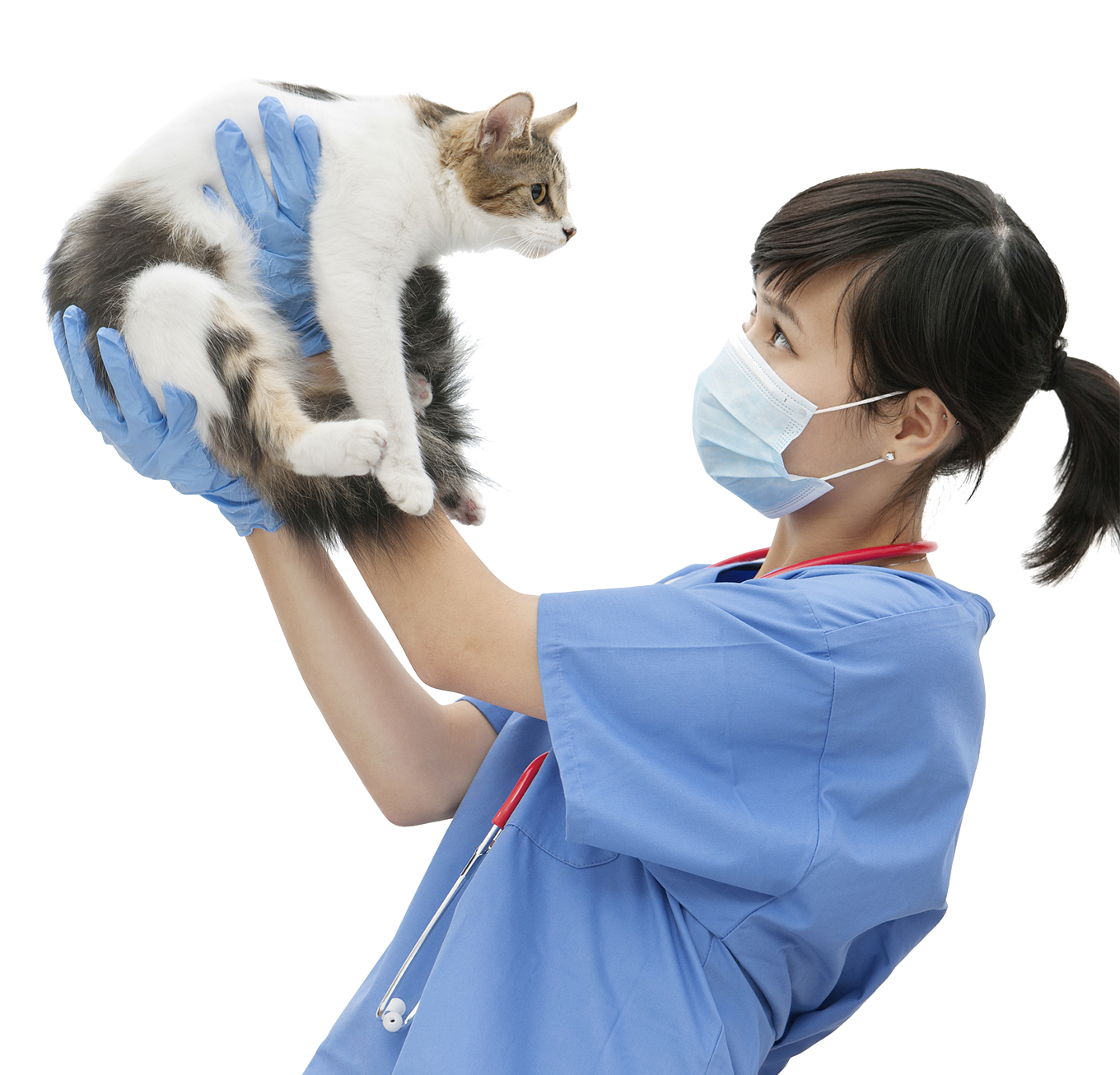Giới thiệu 1 Phòng khám thú y Hà Nội - An Bình Pet