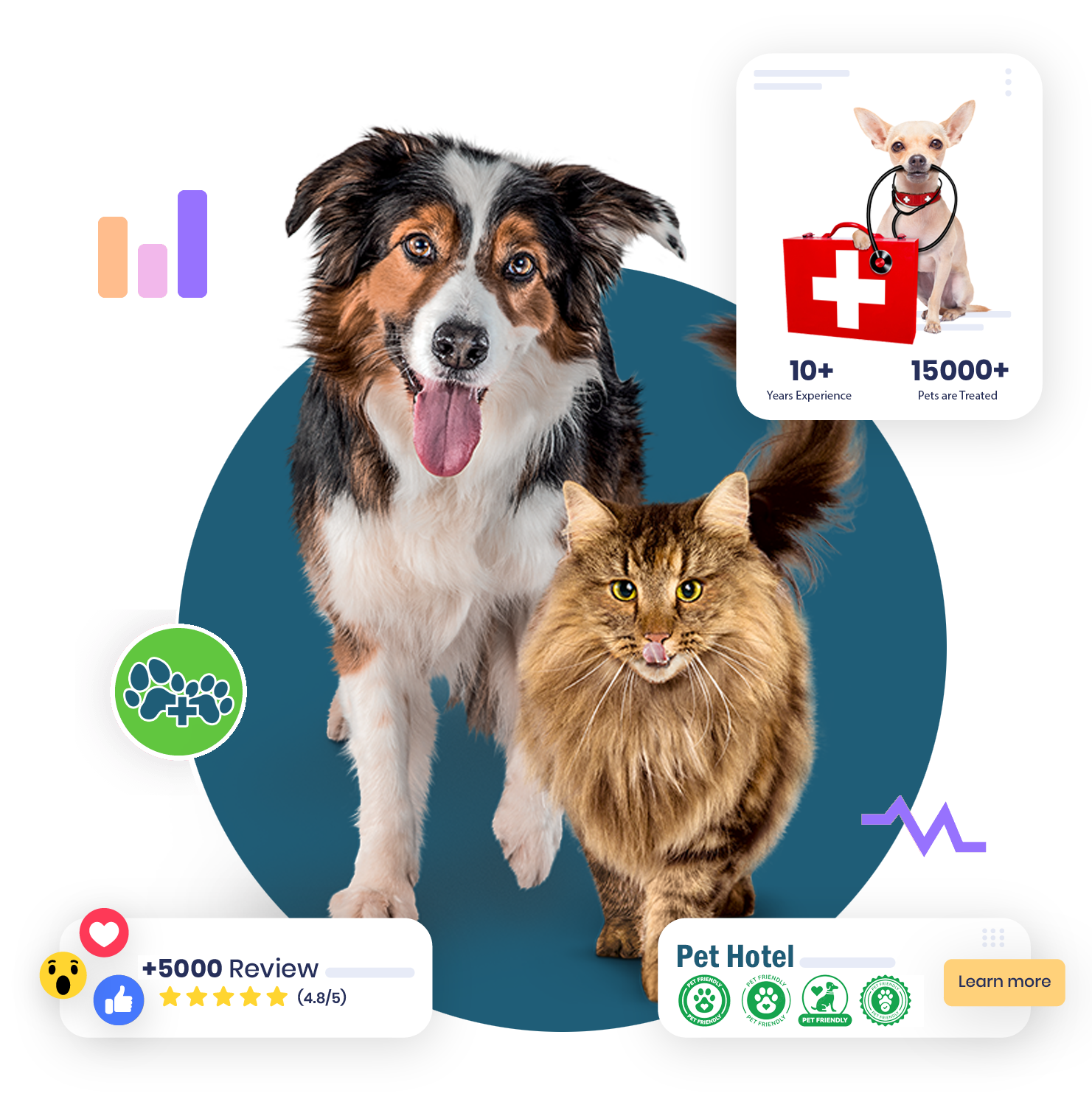 Trang chủ 17 Phòng khám thú y Hà Nội - An Bình Pet