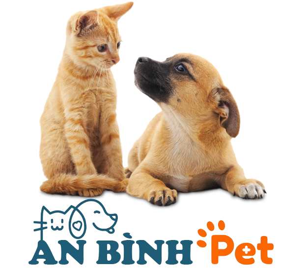Giới thiệu 5 Phòng khám thú y Hà Nội - An Bình Pet